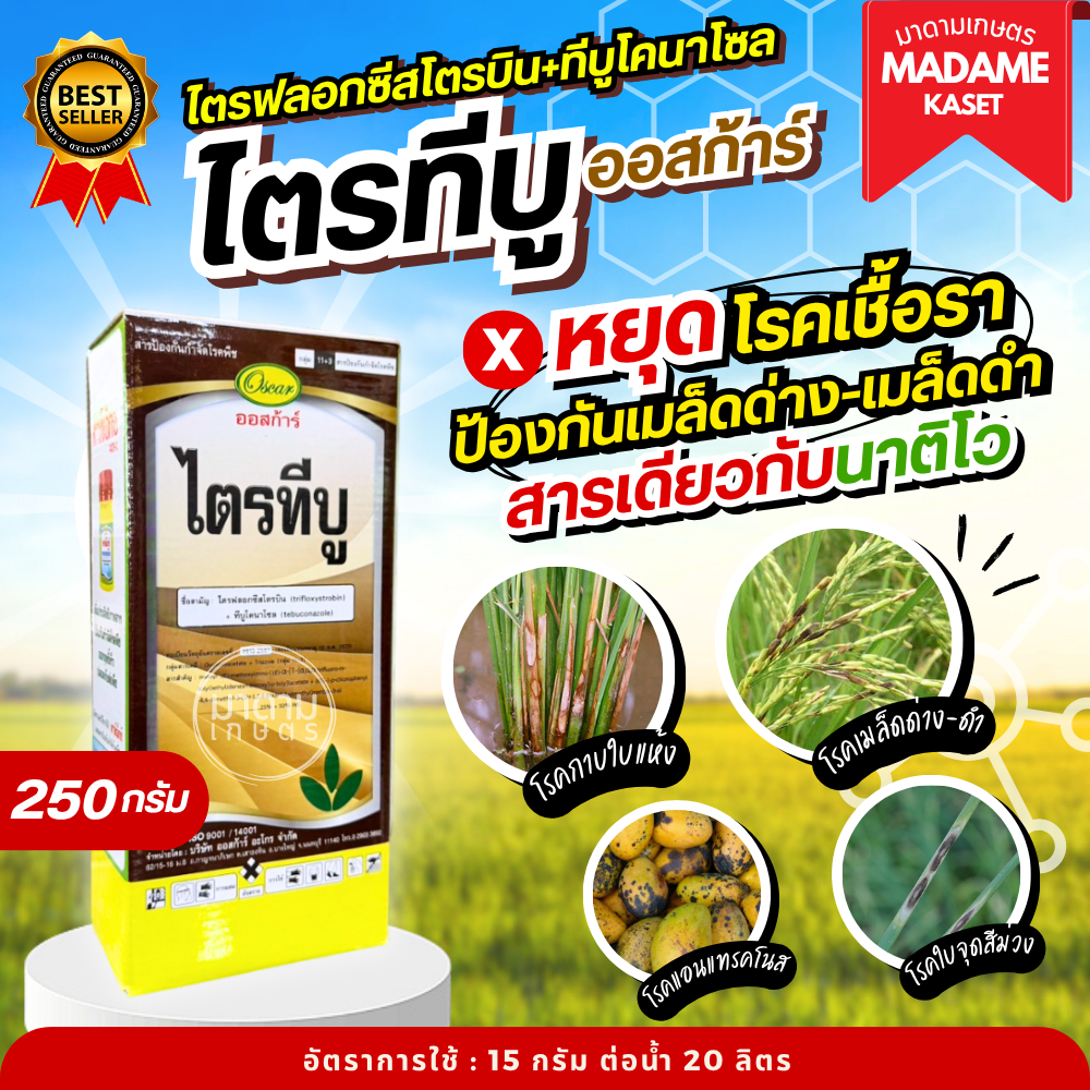 ใหม่! ไตรทีบู ออสก้าร์ (ไตรฟลอกซีสโตรบิน+ทีบูโคนาโซล) 250 กรัม ตัวเดียวกับนาติโว75 ป้องกันกำจัดโรคเชืื้อราในพืช