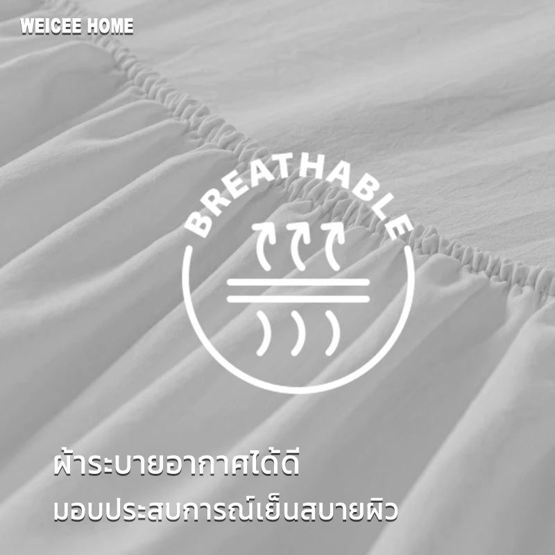 WEICEE ผ้าปูที่นอน Cotton สีพื้น thumbnail 7