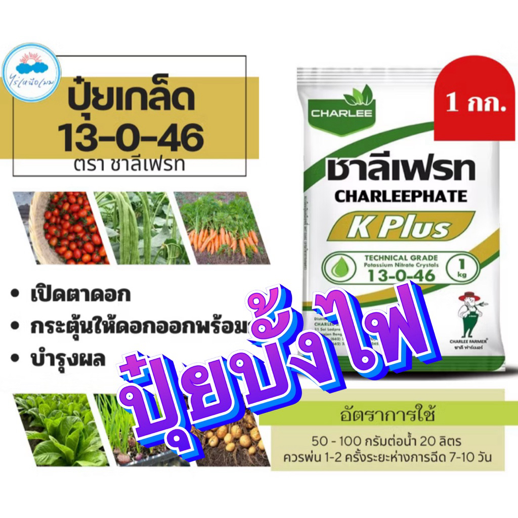 ✳️ ปุ๋ยเกล็ด 13-0-46 ขนาด 1 กก. บำรุงผล เพิ่มหวาน เพิ่มน้ำหนัก เพิ่มแป้งเมล็ดข้าว ลูก ฝัก ผลใหญ่ โพแทสเซียม
