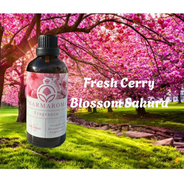 หัวน้ำหอมกลิ่น Fresh Cherry Blossom Fragrance oil หัวน้ำหอมกลิ่นซากุระ