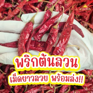 พริกแห้ง จินดา อินเดีย (ก้าน) 9.5-10 กก. เม็ดสวย เม็ดยาว ทำน้ำพริก ทำพริกแกง ทำพริกป่น อาหารอื่นๆ