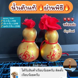 น้ำเต้าแท้‼️ผ่านพิธี 💯 ⛩ (เปิดจุกด้วย) มีหน้าร้าน แก้ประตูตรงกัน เปิดผ้าแดง น้ำเต้าดูดทรัพย์ น้ำเต้า น้ำเต้าธรรมชาติ