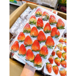 สตอเบอรี่สด นำเข้า ขนาด20 ลูก จัดส่งทันที✨ 3 กล่อง (ในพื้นที่ กทม.ได้รับภายใน 4 ชั่วโมง กดรับด่วนเท่านั้น)