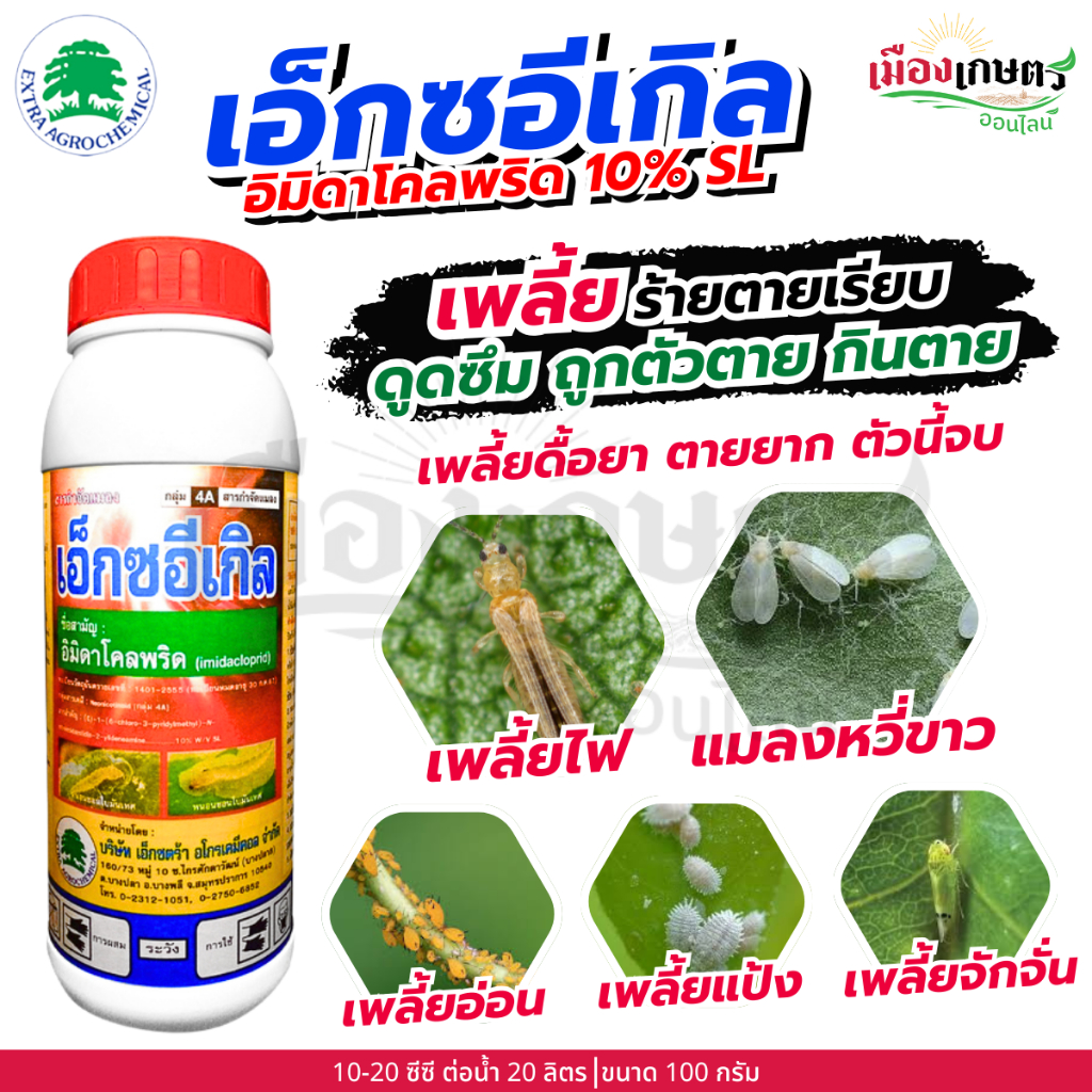 เอ็กซอีเกิล อิมิดาโคลพริด 10% SL 1ลิตร เพลี้ยไฟ แมลงหวี่ขาว เพลี้ยหอย เพลี้ยแป้ง ดูดซึม ถูกตัว กิน เพลี้ย หนอน แมลง เอ็ก