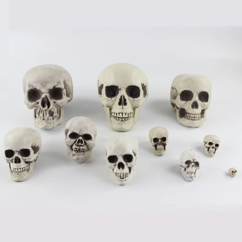 หัวกระโหลก กระโหลก กระดูกผี กระดูกผี ฮาโลวีน ผี ปาร์ตี้ สังสรรค์ พร้อมส่ง Bone Skeleton Halloween Party Decoration