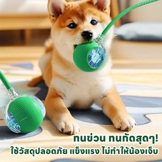 yoyopet : Rolling ball ลูกบอลอัตโนมัติ ของเล่นหมา แมว เล่นสนุก คลายเครียด รุ่นชาร์จไฟ สายUSB