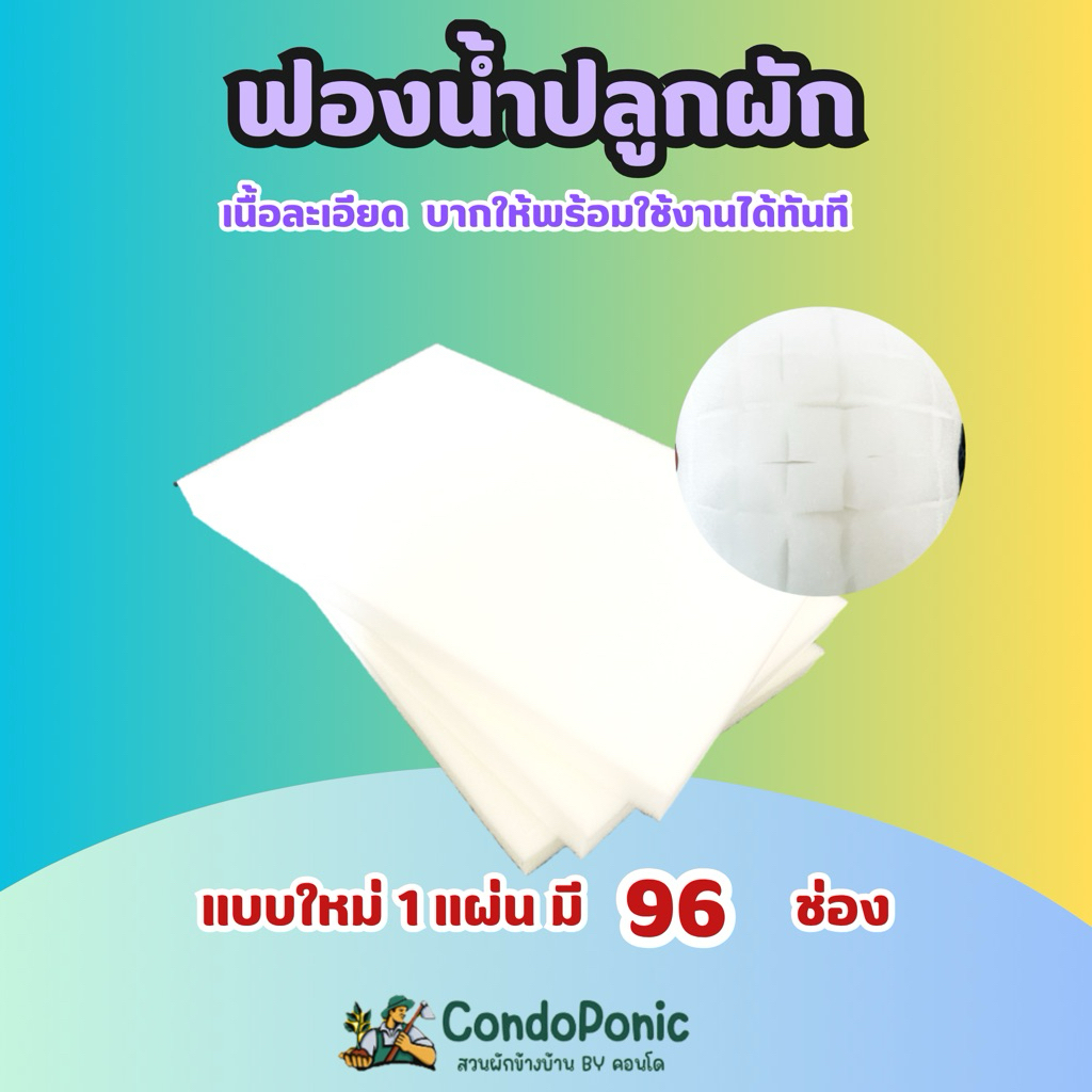 ฟองน้ำปลูกผักไฮโดรโปนิกส์ แบบใหม่ 96 ช่อง เนื้อละเอียด พร้อมใช้งาน ราคา ถูกที่สุด ดีลบีเคเค