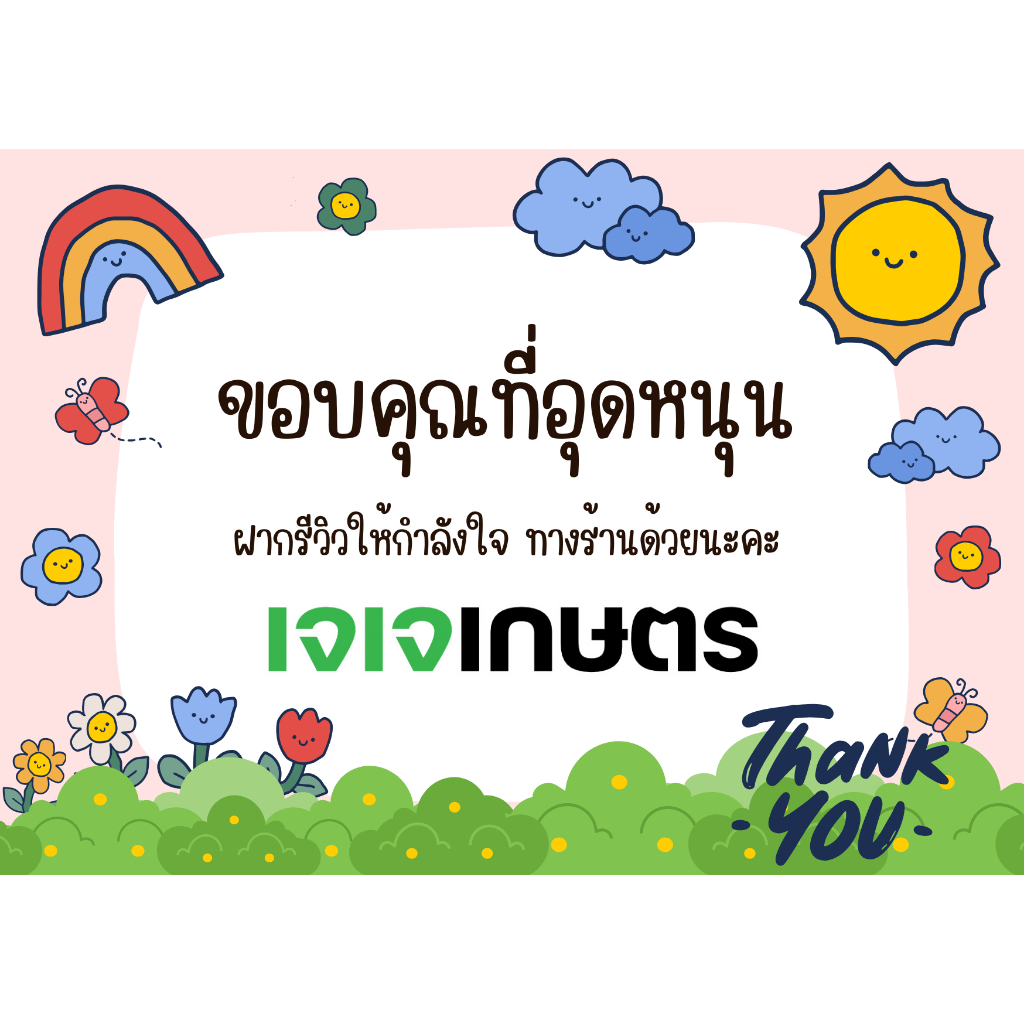 รูปภาพ 3