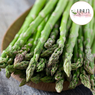 เมล็ดพันธุ์หน่อไม้ฝรั่ง 9บาท 100เมล็ด