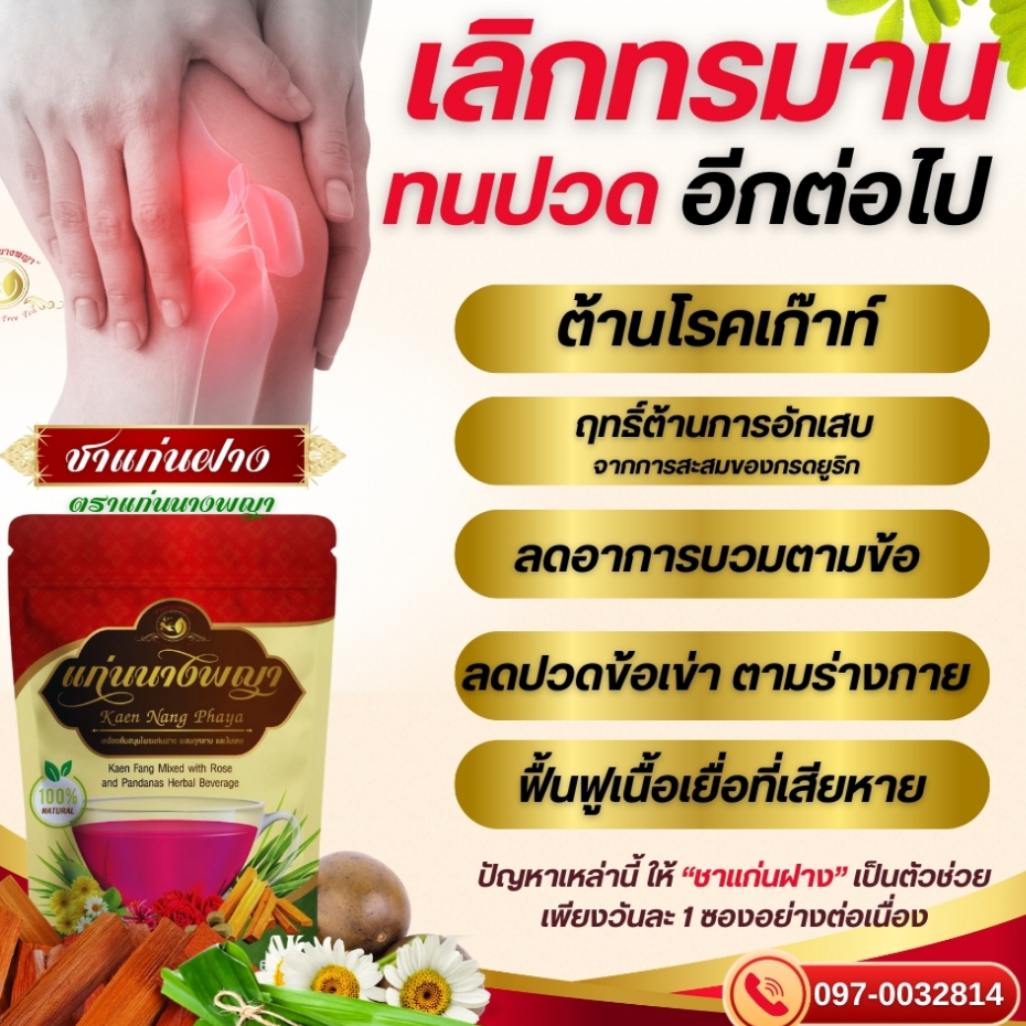 ชาแก่นฝาง ต้านการอักเสบ ข้อเข่า ข้อต่อ ข้อมือ สาเหตุโรคเก๊าท์ ลดปวดตึงตามร่างกาย ปวด ตึงคอ บ่า ไหล