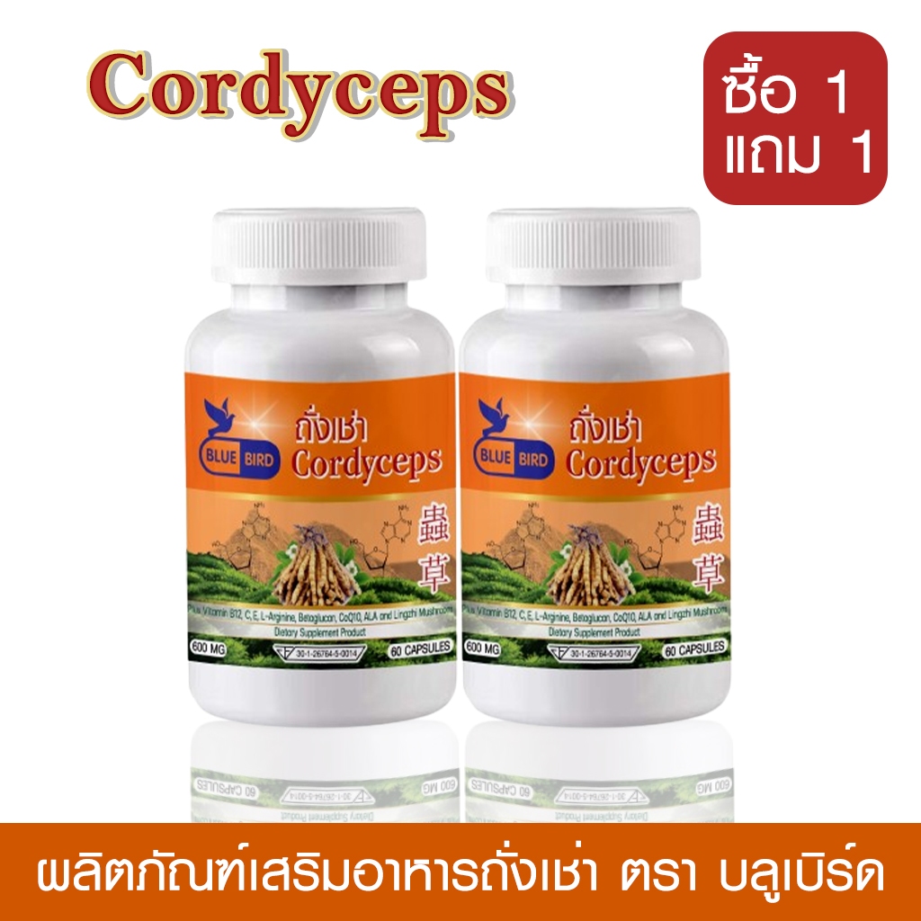 [1แถม1] ถั่งเช่า ตังถั่งเช่า Cordyceps ตรา บลูเบิร์ด ขนาด 600 มิลลิกรัม 60 แคปซูล