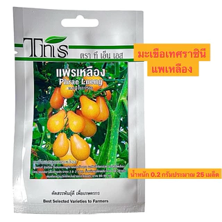 tns เมล็ด มะเขือเทศ ราชินี เลดี้ออเร้น ,แพรเหลือง,โชกุน ออเร้น (ประมาณ 25 เมล็ด)
