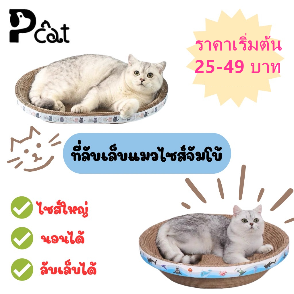 Pcat:Y1-Y2 ที่ลับเล็บแมว(รูปอ่าง) ของเล่นแมว ที่นอนแมว 2 in 1 แผ่นลับเล็บ ที่ฝนเล็บสัตว์เลี้ยง มีหลายแบบ หลายขนาด