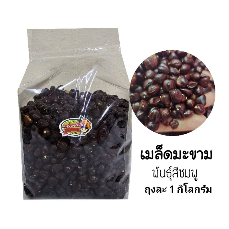 เมล็ดมะขามหวาน พันธุ์สีชมพู ถุง 1 กิโลกรัม เหมาะสำหรับนำไปทำปลูกทำรั้ว หรือคั่วทำกาแฟ