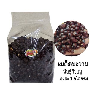 เมล็ดมะขามหวาน พันธุ์สีชมพู ถุง 1 กิโลกรัม เหมาะสำหรับนำไปทำปลูกทำรั้ว หรือคั่วทำกาแฟ