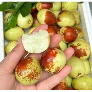 AA พุทราช็อกโกแลตยกลังไซส์ Aใหญ่หนัก 3 กก รวมลังโฟม เนื้อกรอบฟูหวานอร่อย