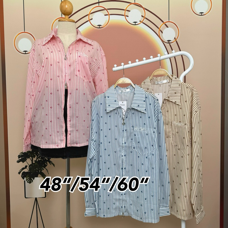 Goodly เชิ๊ตริ้วลายโบว์ แขนยาว หน้าผ้า48“/54”/60“