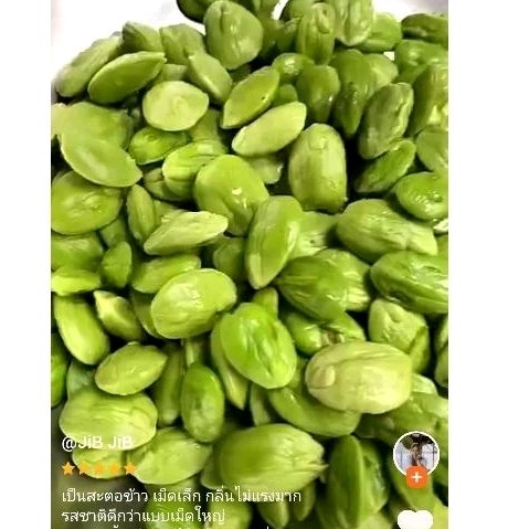 สะตอใต้🌿 สะตอแกะเม็ดใหญ่ 💯%ขนาด 300 กรัม