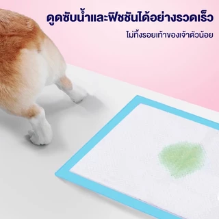 แผ่นรองฉี่ แผ่นรองฉี่สัตว์เลี้ยง แผ่นรองฉี่สุนัขแบบหนา ช่วยฝึกขับถ่าย ซึมซับได้ดี ต่อต้านแบคทีเรีย กักเก็บกลิ่น