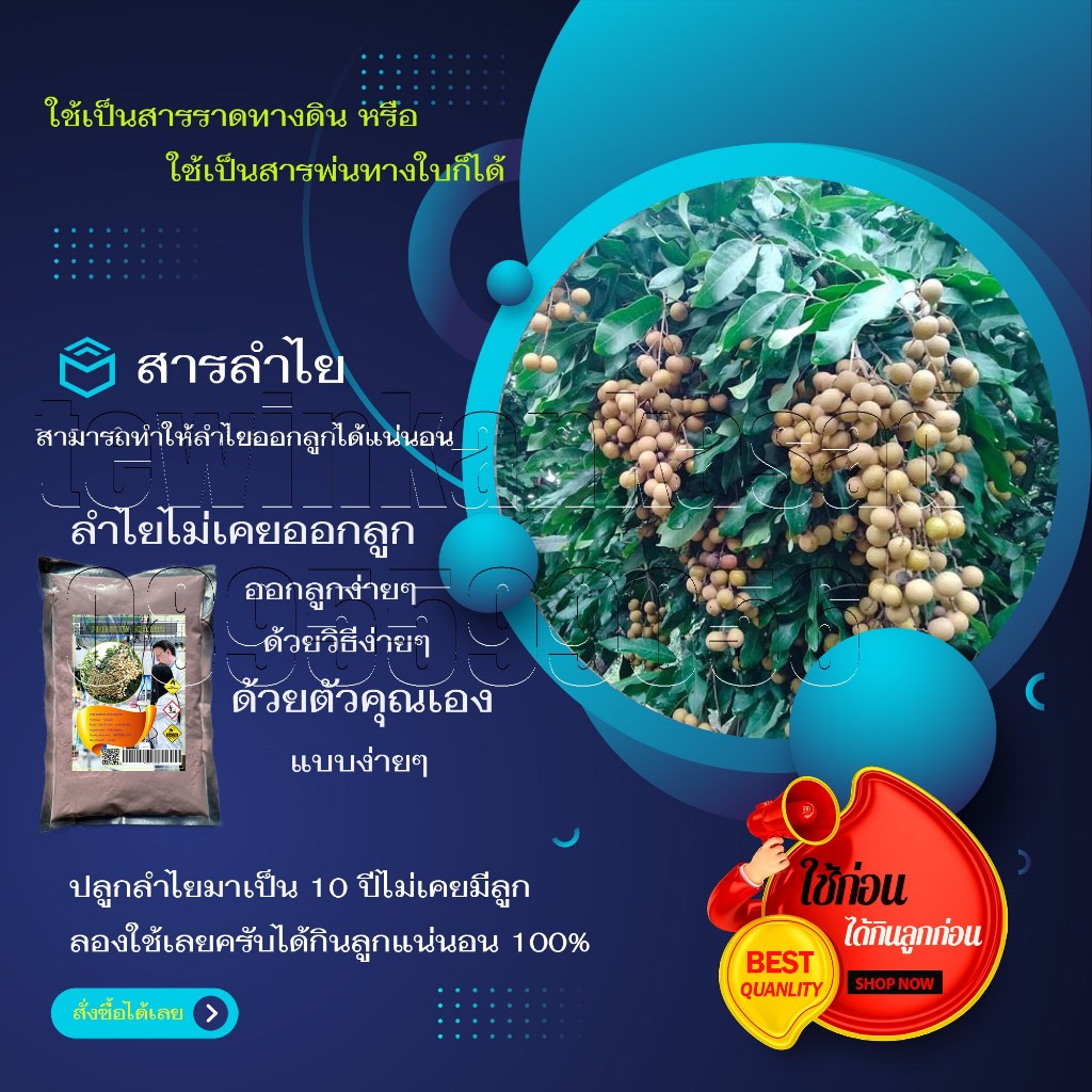 สารลำไย สารบังคับให้ลำไยให้ออกดอก ใช้เป็นสารเร่งดอกลำไย เนื้อสารสีชมพู สามารถใช้เป็นสารลำไยที่ใช้เป็นสารราดลำไยทางดิน แล