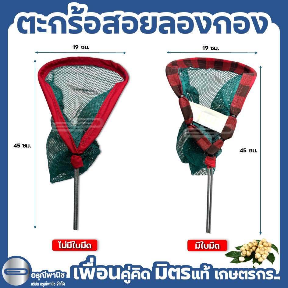 ตะกร้อสอยลองกอง ตะกร้อสอยมะละกอ เก็บผลไม้