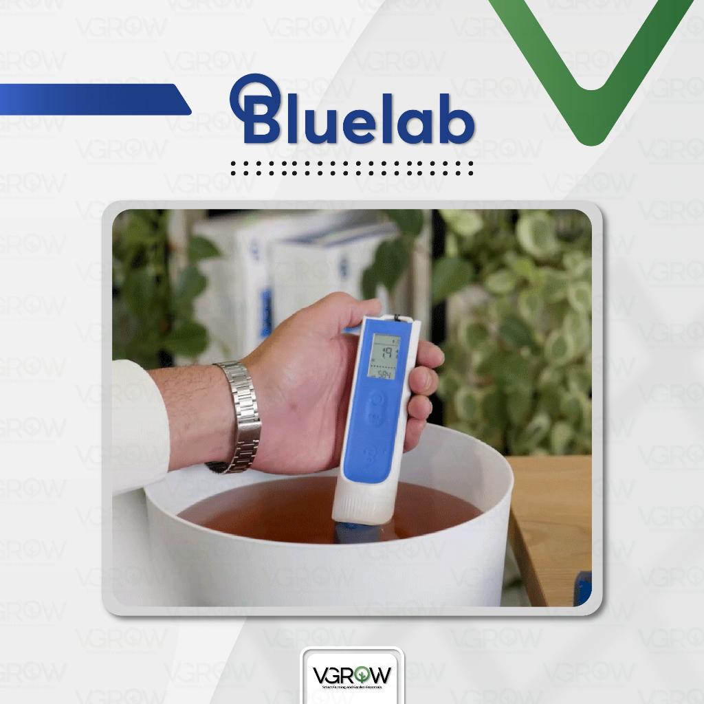 [ส่งฟรี] Bluelab ONE PEN ปากกาบลูแลปวันเพน 3in1 วัดได้ทั้ง pH/EC/Temp เปลี่ยนหัวได้ บลูแลปวันเพน - รูปที่ 5