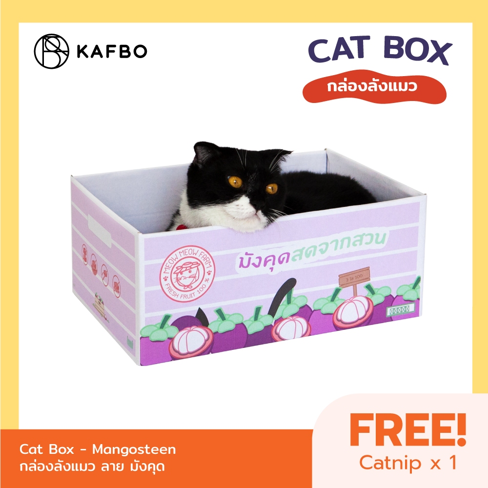 KAFBO Cat box - กล่องมังคุด กล่องลังแมว บ้านแมว ที่ลับเล็บแมว ที่ฝนเล็บแมว