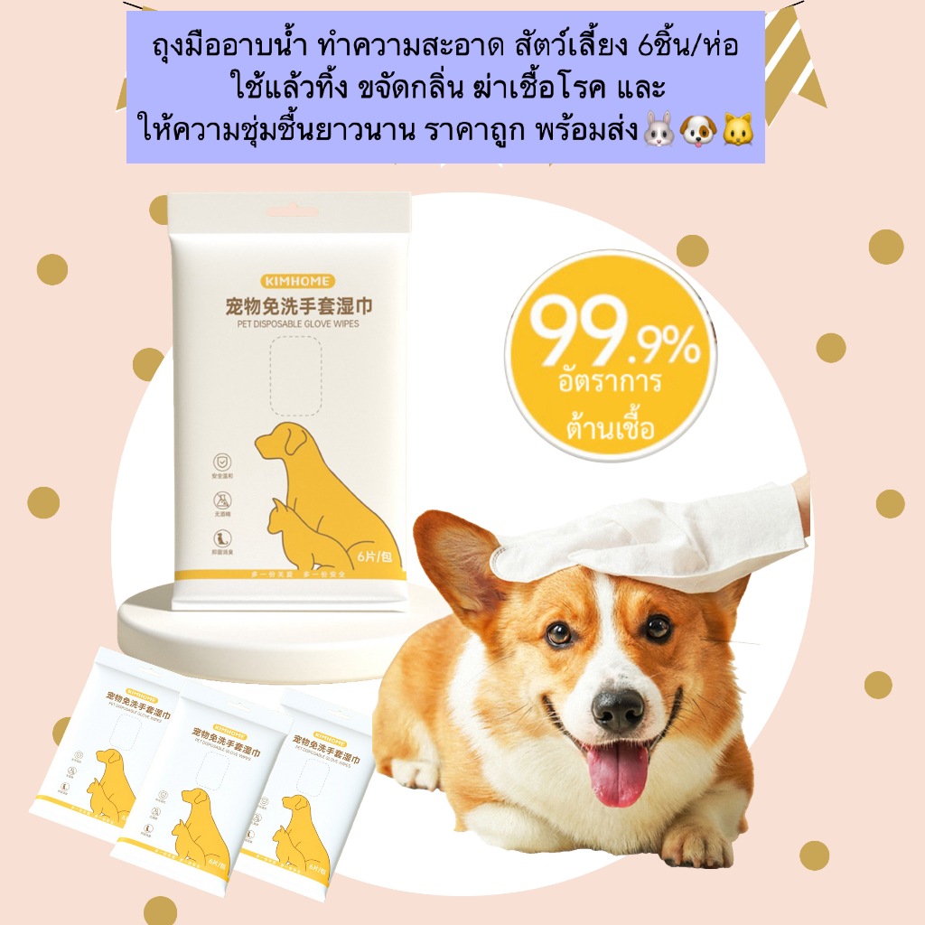 MG-536 ถุงมืออาบน้ํา ทำความสะอาดสัตว์เลี้ยงแบบใช้แล้วทิ้ง 6 ชิ้น/ห่อ 🐶🐱🐾
