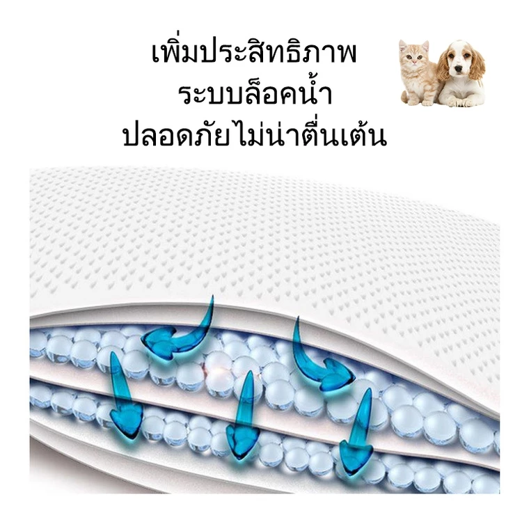 แผ่นรองฉี่สุนัข 2 ชั้น ต่อต้านแบคทีเรีย ซึมซับดี thumbnail 5