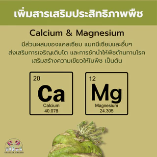 ไตรโคเดอร์มา 500กรัม ราคาส่ง กำจัดเชื้อราโรคพืชได้มากถึง 31ชนิด