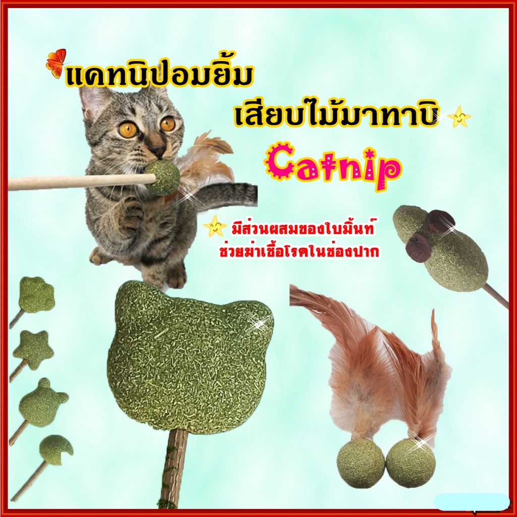 Deemar catnip แคทนิปอมยิ้มเสียบไม้มาทาบิสมุนไพรแมวฟินแคทนิปแมวกัญชาแมว(ของเล่นแมว)​ Catnip Toy