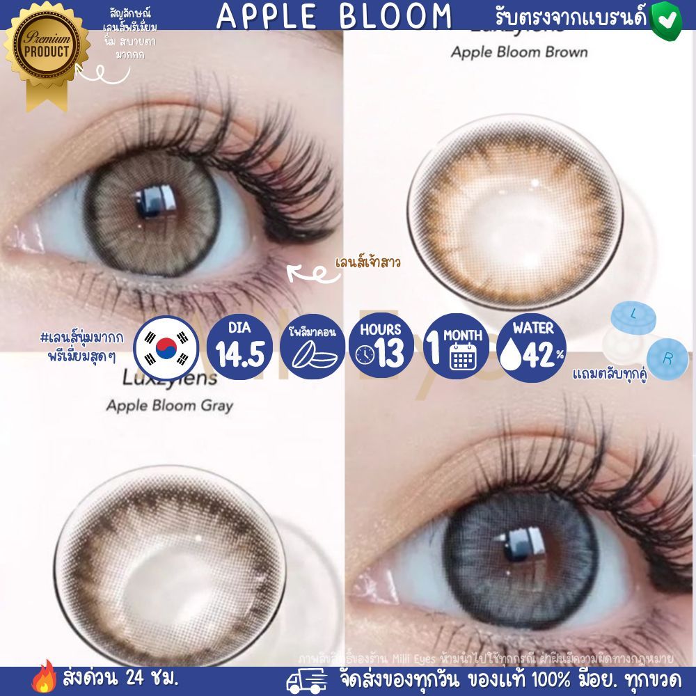 Apple Bloom เลนส์เจ้าสาว เรียบหรู ดูแพง เลนส์พรีเมี่ยม กรองแสง คอนแทคเลนส์ Luxzylens14.5 ค่าน้ำ 42%