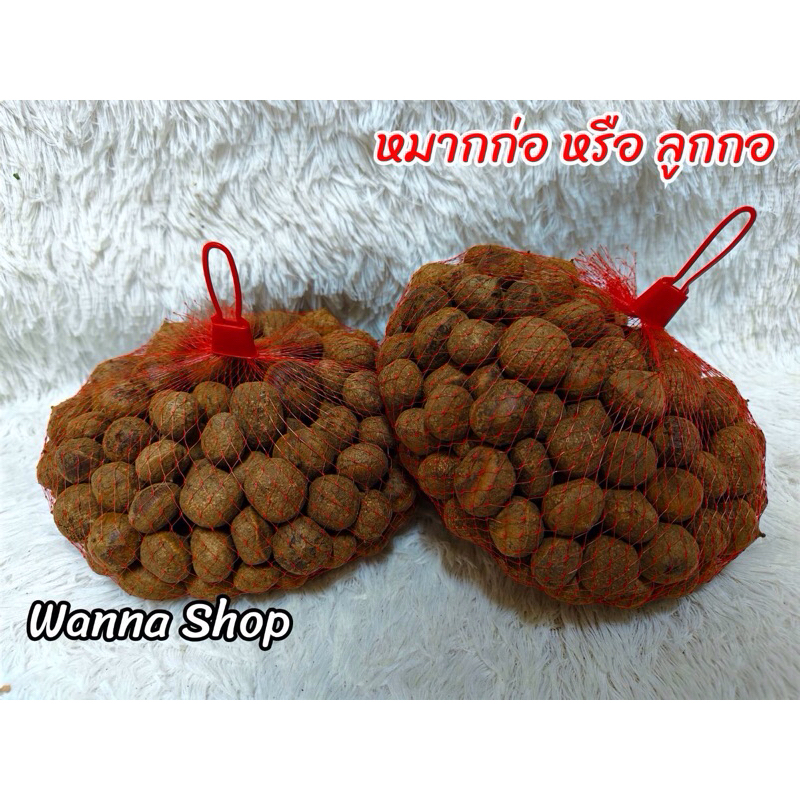ลูกก่อ/หมากก่อ/เกาลัดป่า (ดิบ)