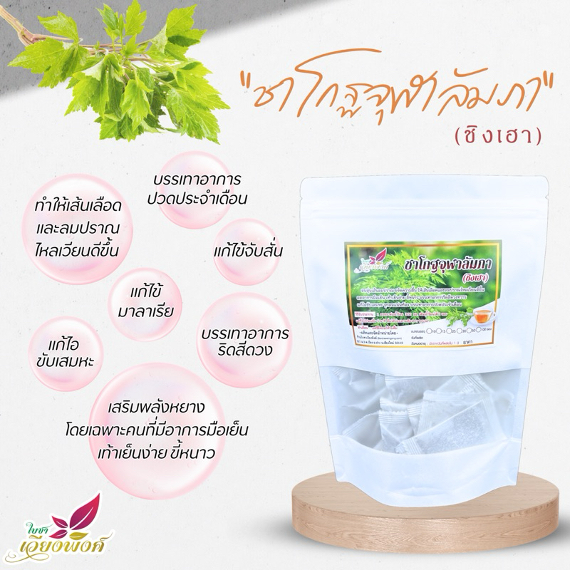 ชิงเฮา ชาจีน โกฐจุฬา ลัมพา อบอุ่นลมปราณ หยินหยาง