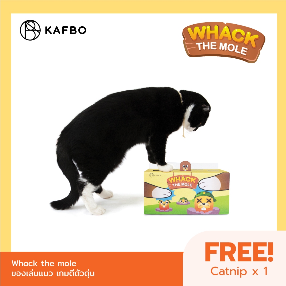 KAFBO Whack the mole -เกมส์ตีตัวตุ่น ของเล่นแมว เล่นเกมส์กับแมว
