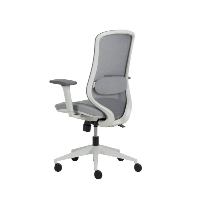 Modernform เก้าอี้ Ergonomic รุ่น LIMB พนักพิงกลาง หุ้มผ้าตาข่าย โครงไนลอน ขาไนลอน - รูปที่ 5