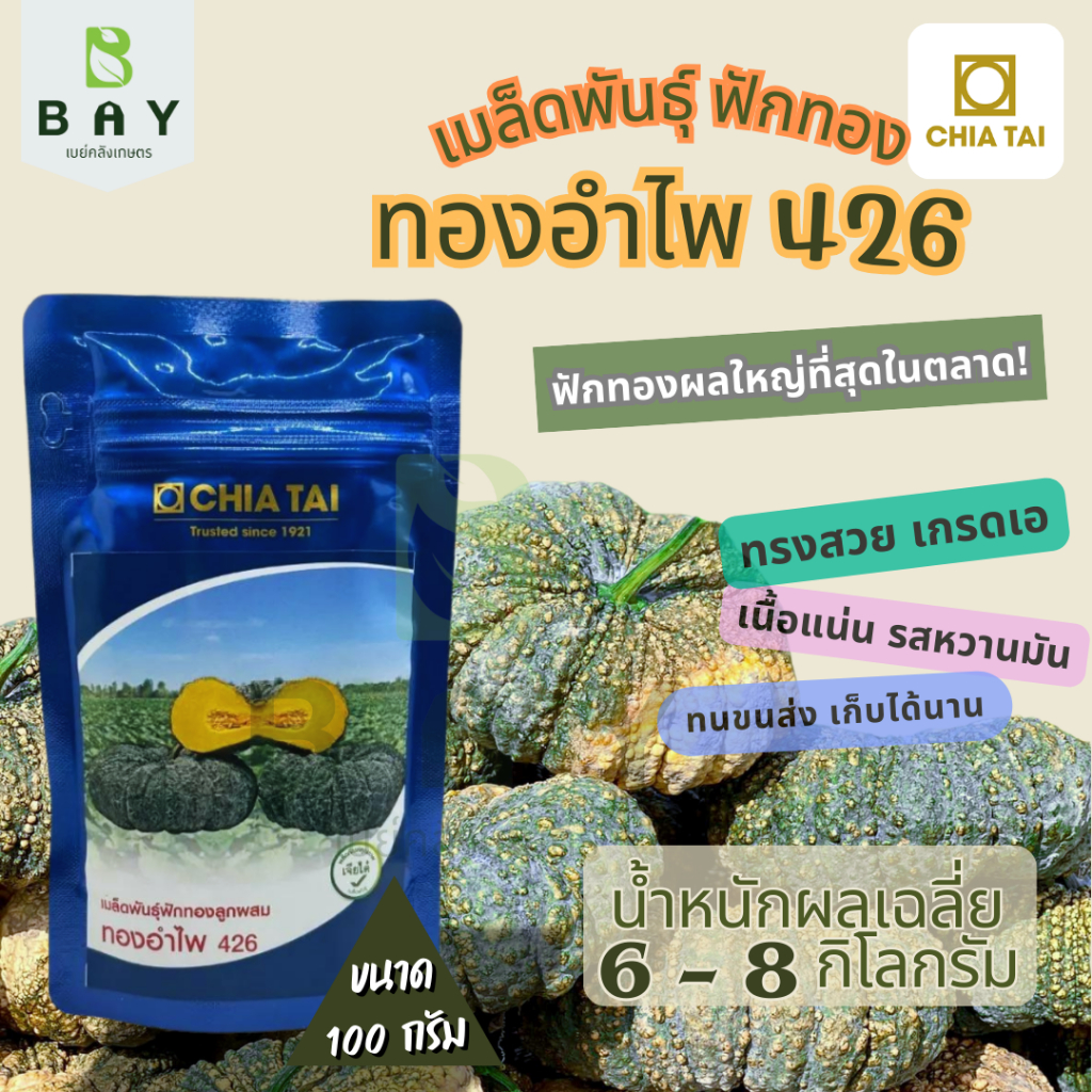 เมล็ดพันธุ์เจียไต๋ พันธุ์ฟักทอง ทองอำไพ 426
