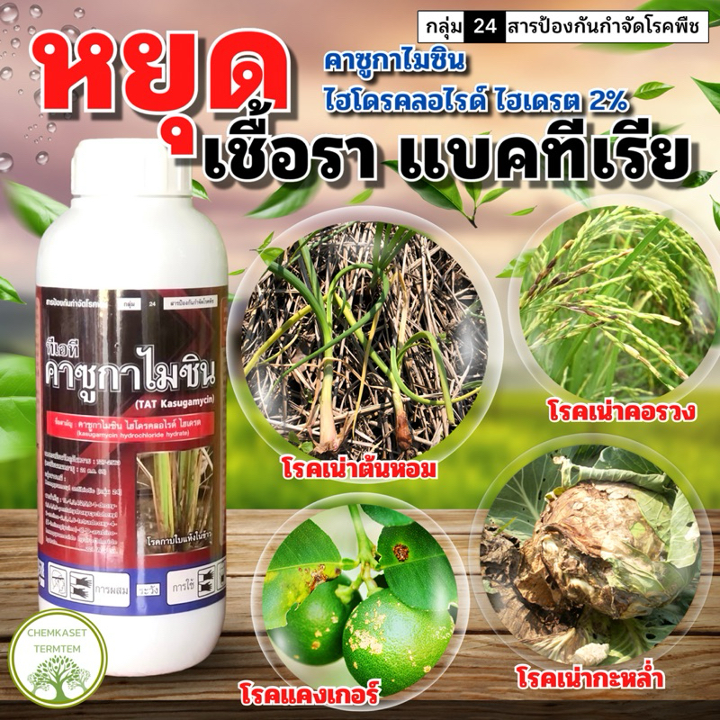 คาซูกาไมซินไฮโดรคลอไรด์ไฮเดรต(kasugamycin hydrochloride hydrate)2%SL ตราซิกซ์ตี้ซิกซ์ ขนาด 1ลิตร
