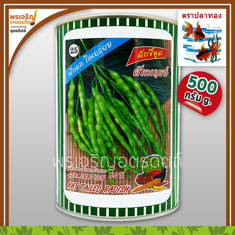เมล็ดพันธุ์ ผักกาดหัว ผักขี้หูด ผักพฤกษ์ (500 กรัม) เมล็ดพันธุ์ผักกาดหัว เมล็ดผักเปิ๊ก เมล็ดพันธุ์ผักสวนครัว ตราปลาทอง