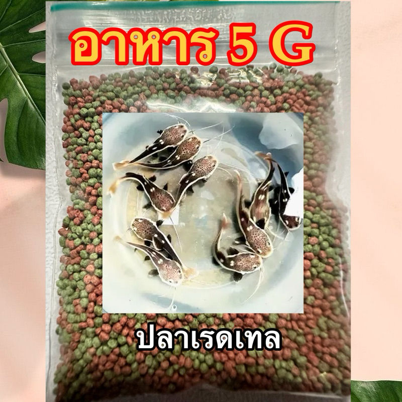 เรดเทล อาหารปลาเรดเทล (แถมอาหารปลาอีก5กรัม)