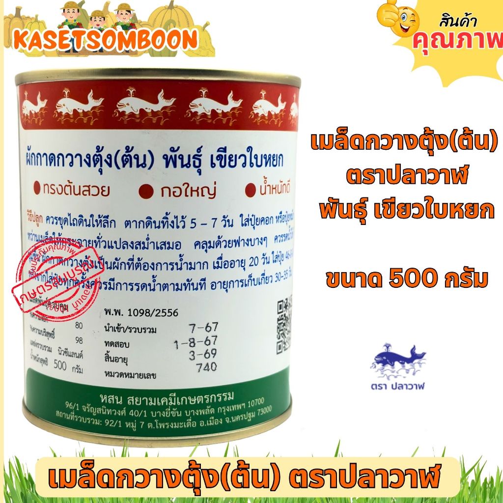กวางตุ้งเขียวใบหยก เมล็ดพันธุ์ 500 กรัม ตราปลาวาฬ ราคา ถูกที่สุด ดีลบีเคเค แกลเลอรีภาพที่ 3