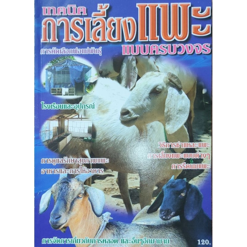 หนังสือเกษตร เทคนิคการเลี้ยงแพะ การคัดเลือกพ่อแม่พันธุ์ อย่างครบวงจร ปก120 การผสมพันธุ์ การตลาด การชำแหละ