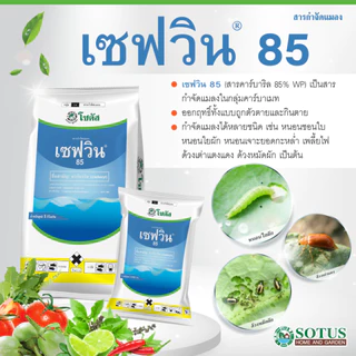 เซฟวิน85 1กก./ 500ก./ 100ก. ( คาร์บาริล ) กำจัดเพลี้ยไฟ หนอน มด ด้วง แมลงปีกแข็ง เห็บ หมัด โซตัส