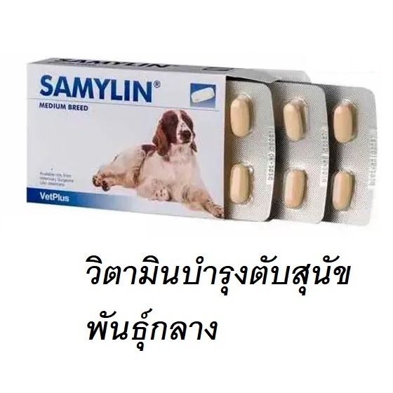 Samylin Medium Breed Tablets Dog แซมมิลิน อาหารเสริมสุนัข พันธุ์กลาง 10 - 30 เม็ด