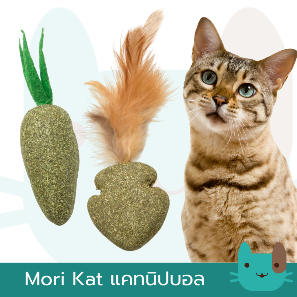 Morio Mori Kat แคทนิปบอล แคทนิป ของเล่นแมว ของเล่นสัตว์เลี้ยง Mori Kat Cat Catnip Ball