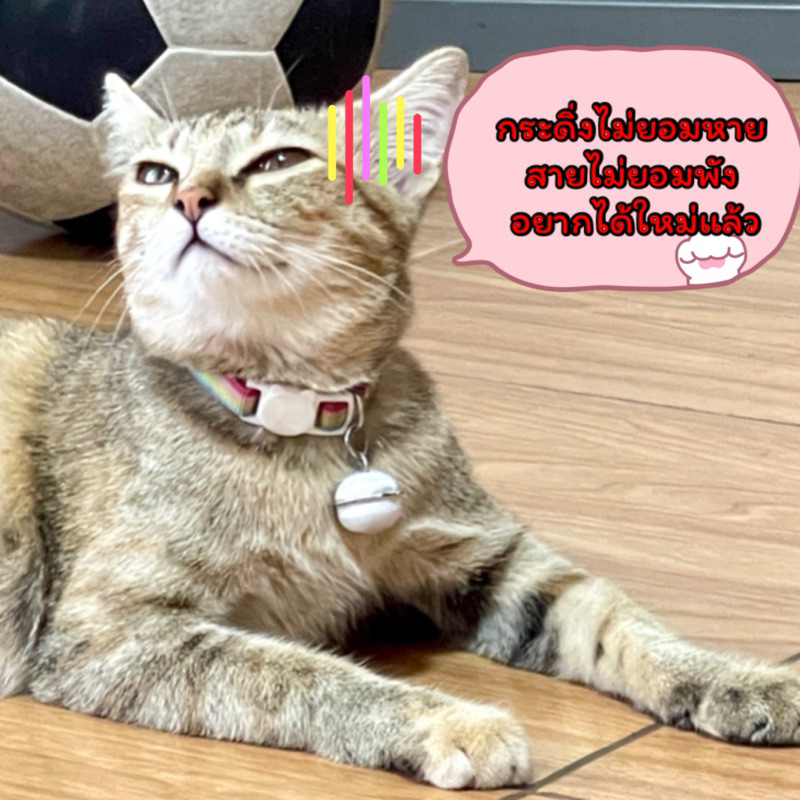 (L10)(รุ่นเส้นสีสัน) ซัมเมอร์ ต้องมีนะแม่ ปลอกคอแมวแบบตัวล็อกนิรภัย กระดิ่งใหญ่2.2 มิล ราคา ถูกที่สุด ดีลบีเคเค แกลเลอรีภาพที่ 6