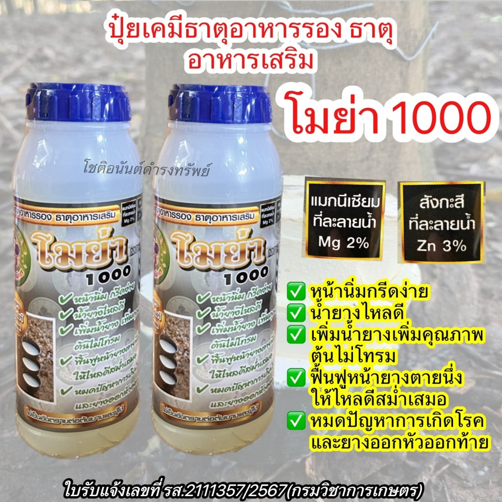 โมย่า1000 (ฝาน้ำเงิน) ปุ๋ยน้ำธาตุอาหารรอง-เสริม เพิ่มน้ำยาง หน้ายางนิ่ม กรีดง่าย ต้นไม่โทรม ฟื้นฟูหน้ายางตายนิ่ง