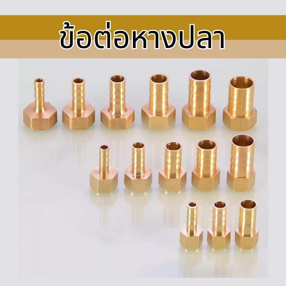 Apluz ข้อต่อทองเหลือง ข้อต่อหางปลา เกลียวใน - สายเสียบหางปลาไหล ไม่เป็สนิม พร้อมส่ง