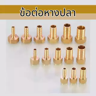 Apluz ข้อต่อทองเหลือง ข้อต่อหางปลา เกลียวใน - สายเสียบหางปลาไหล ไม่เป็สนิม พร้อมส่ง