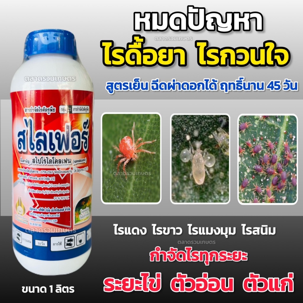 สไลเฟอร์ สไปโรไดโคลเฟน 24% SC (หยุดไรดื้อยา) สารกำจัดไร กำจัดไรทุกระยะ กำจัดไรทุกชนิด เช่น ไรแดง ไรขาว ไรสนิม ไรแมงมุม